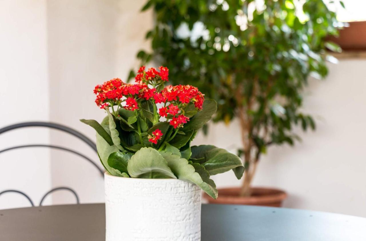 Gasthof Torripa Group - Trastevere Rom